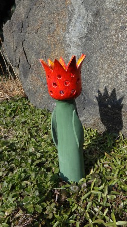 Tulipán červený