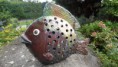 /album/ryby/dsc03026-jpg/